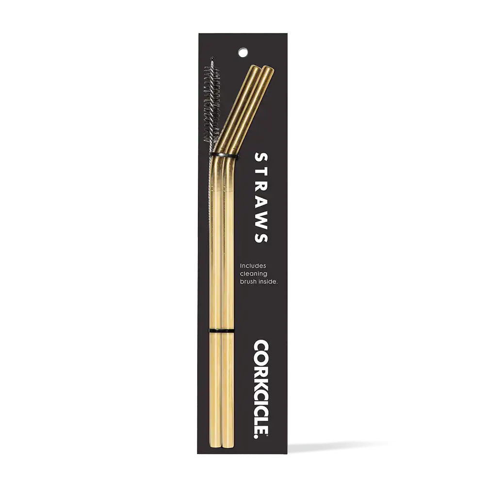 Tumbler Straw 2-Pack