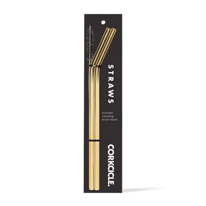 Tumbler Straw 2-Pack