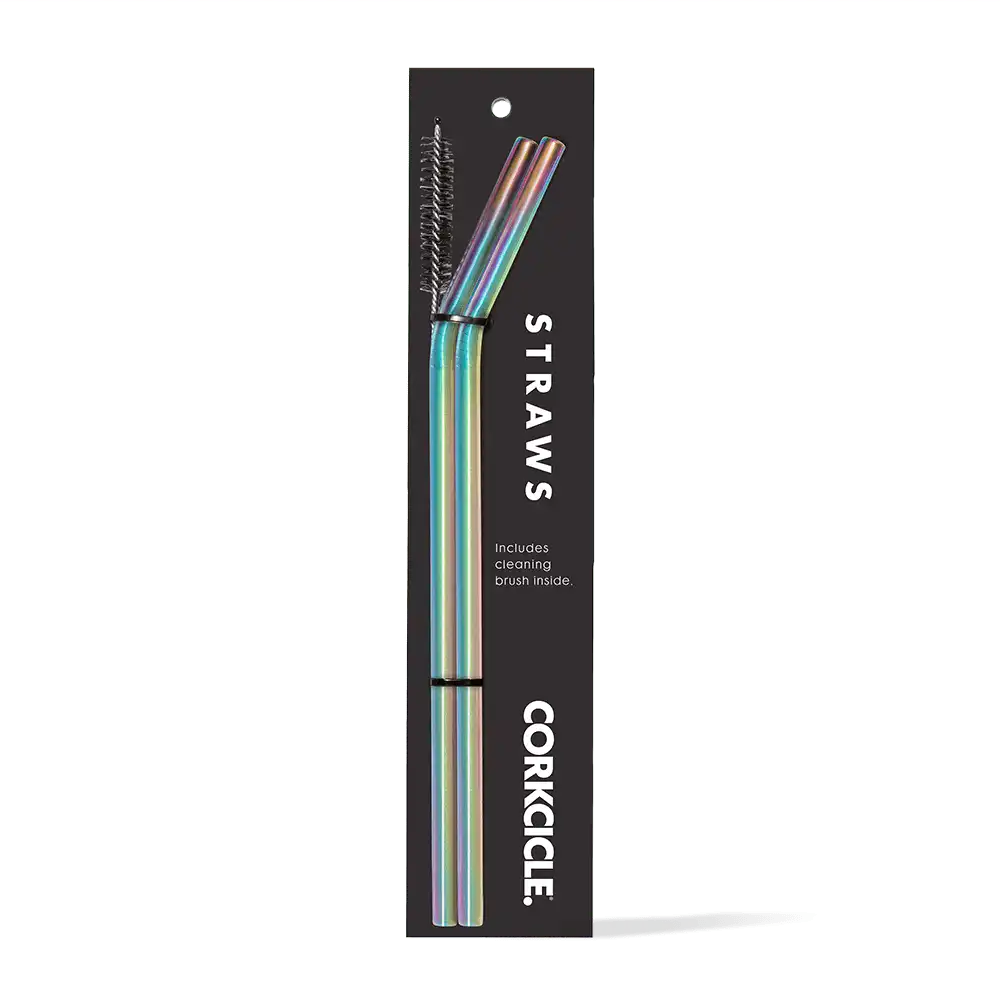 Tumbler Straw 2-Pack