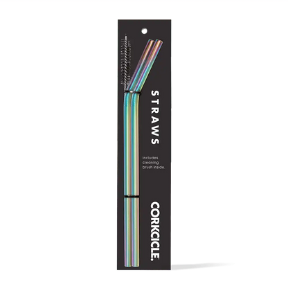 Tumbler Straw 2-Pack