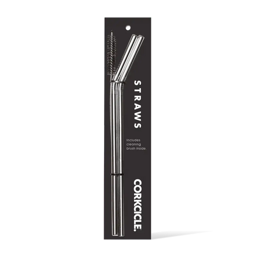Tumbler Straw 2-Pack